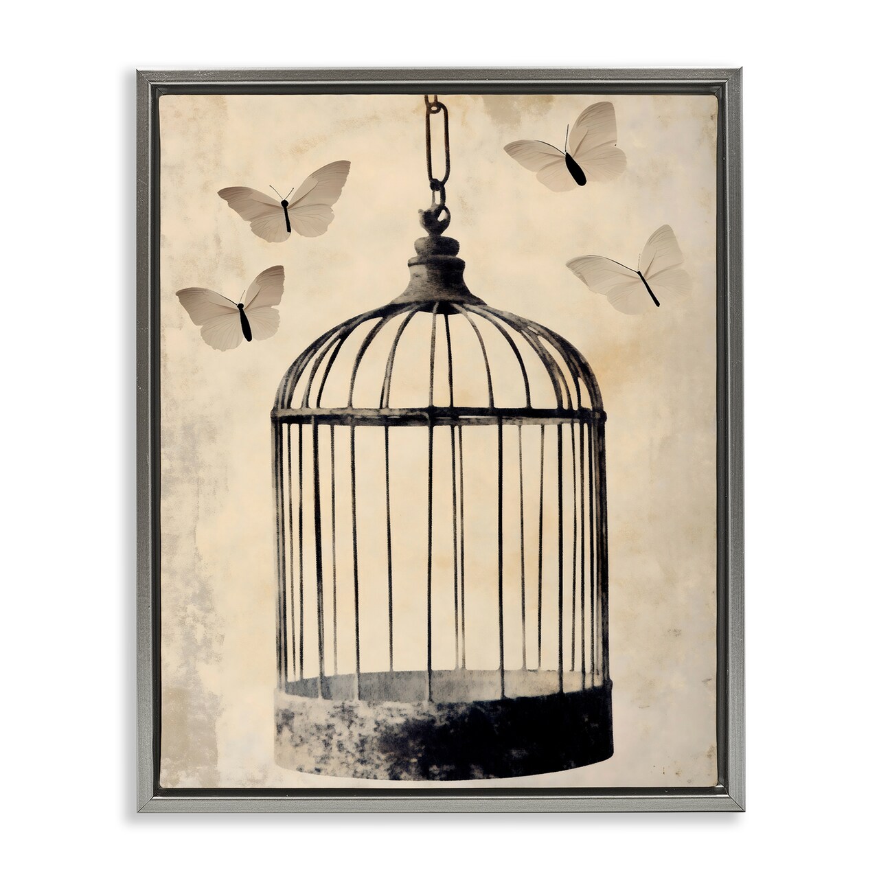 Stupell Industries Antique Uncaged Butterflies Floating Frame, design by Franklyn Gregory